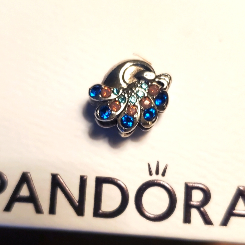 Pandora charm